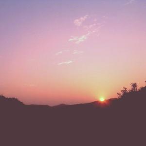 菠萝蜜一区二区三区
